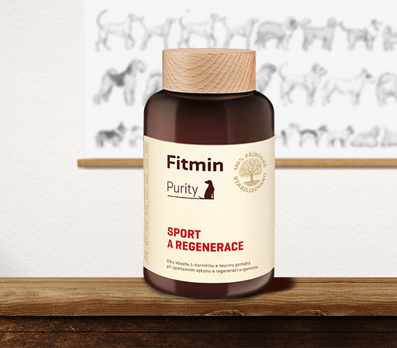 Sport_a_regenerace_2022_02 (1)